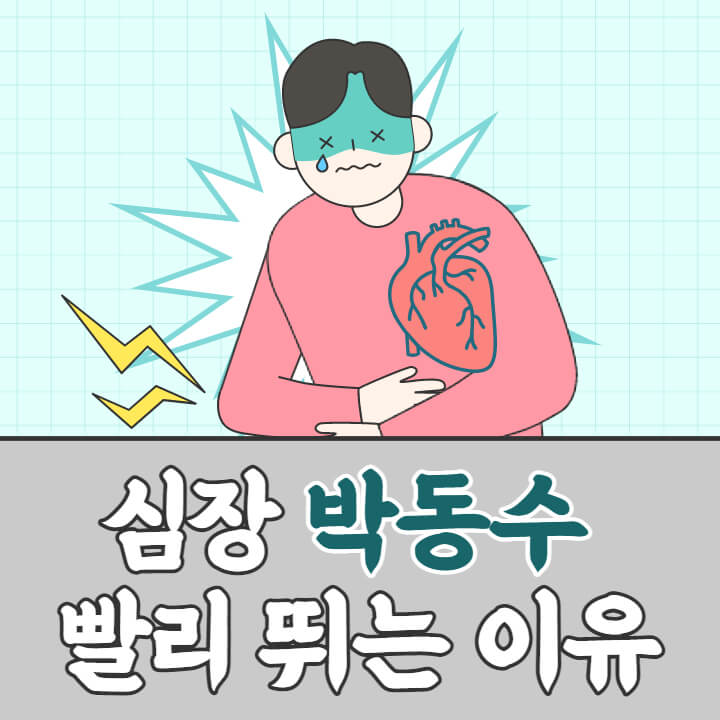  빠른 심박수, 심장 빨리 뛰는 이유