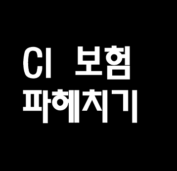  #9. CI 보험 추천? 비추천? 가입하면 무조건 손해라던데