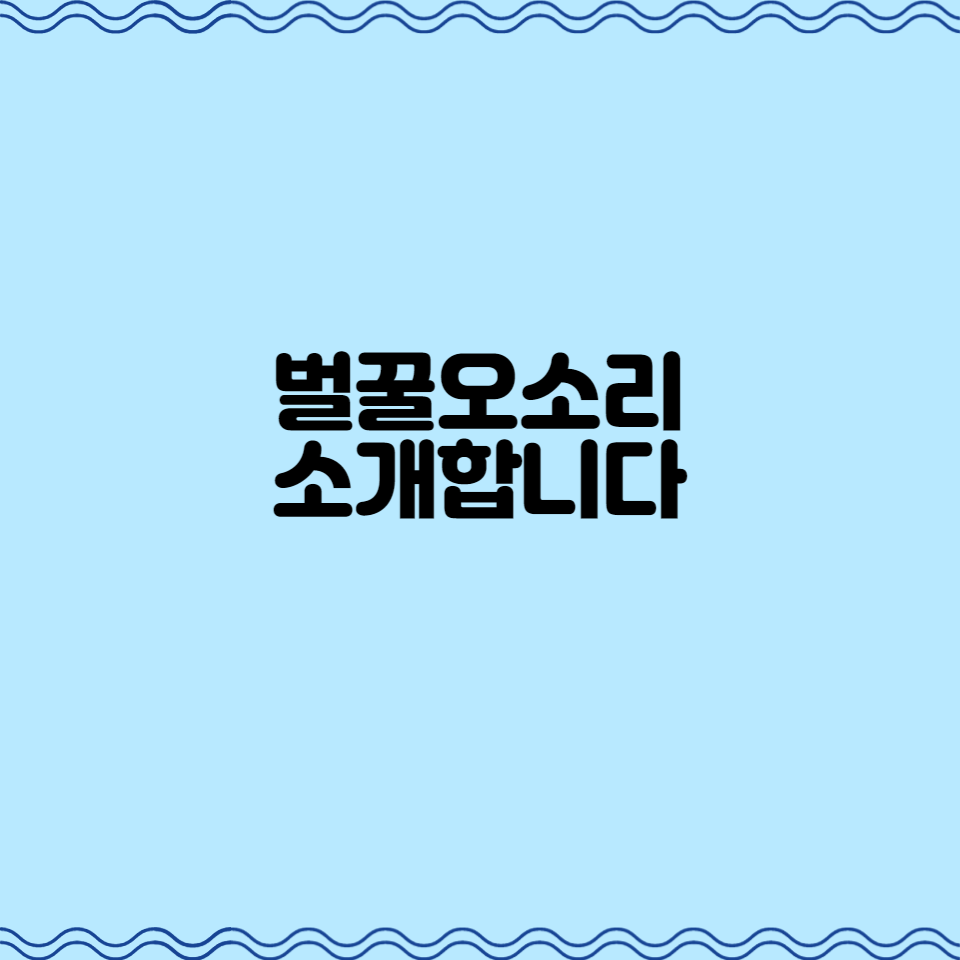  벌꿀오소리 소개합니다