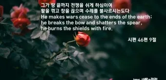 시편 91장 11절 읽기 - 그가 너를 위하여 그의 천사들을 명령하사_17