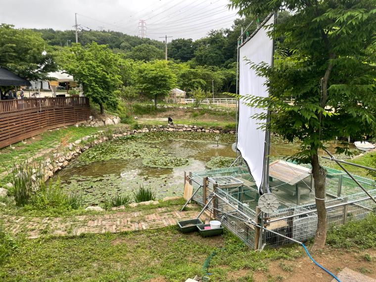 야외-연못-사진