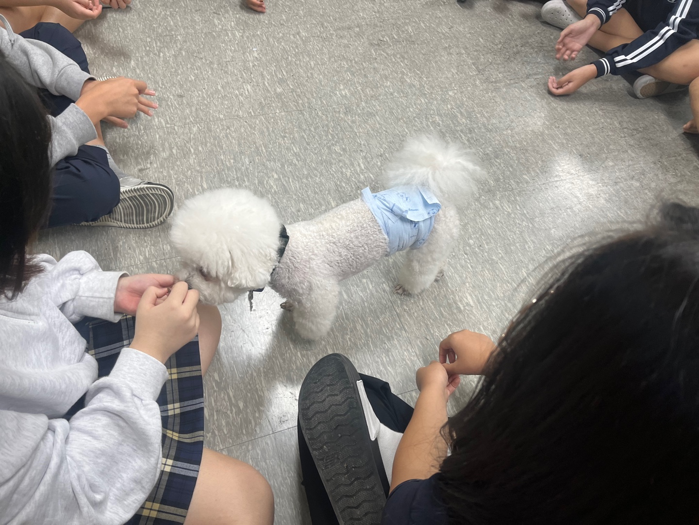 효정중학교 이미지