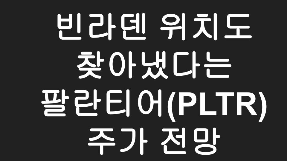  [미국주식] 빅데이터로 빈라덴도 잡아낸 기업 팔란티어(PLTR) 주가 전망