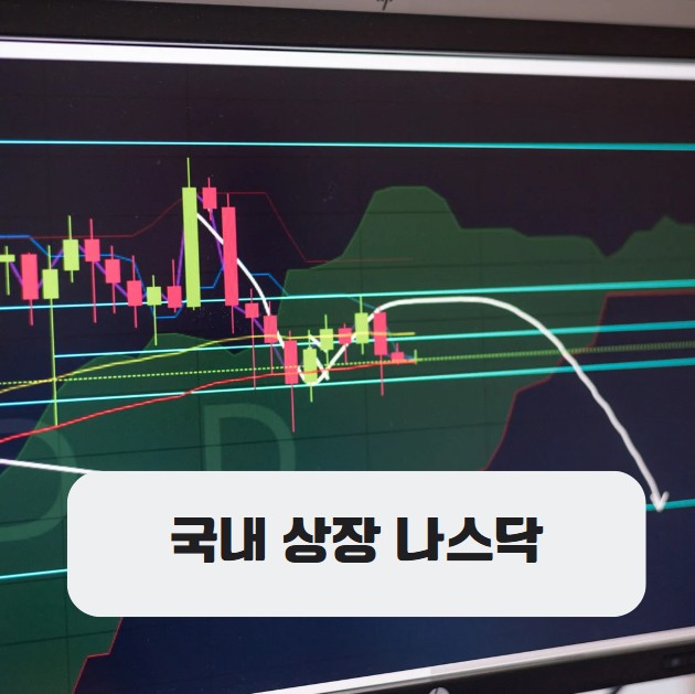 국내 상장 나스닥