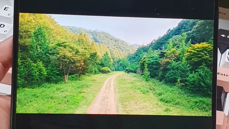 숲속에서 이미지