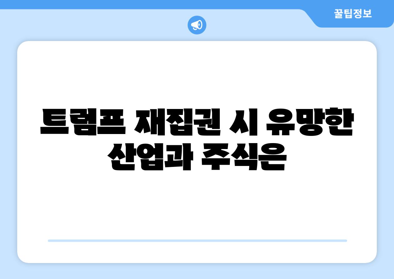 트럼프 재집권 시 유망한 산업과 주식은