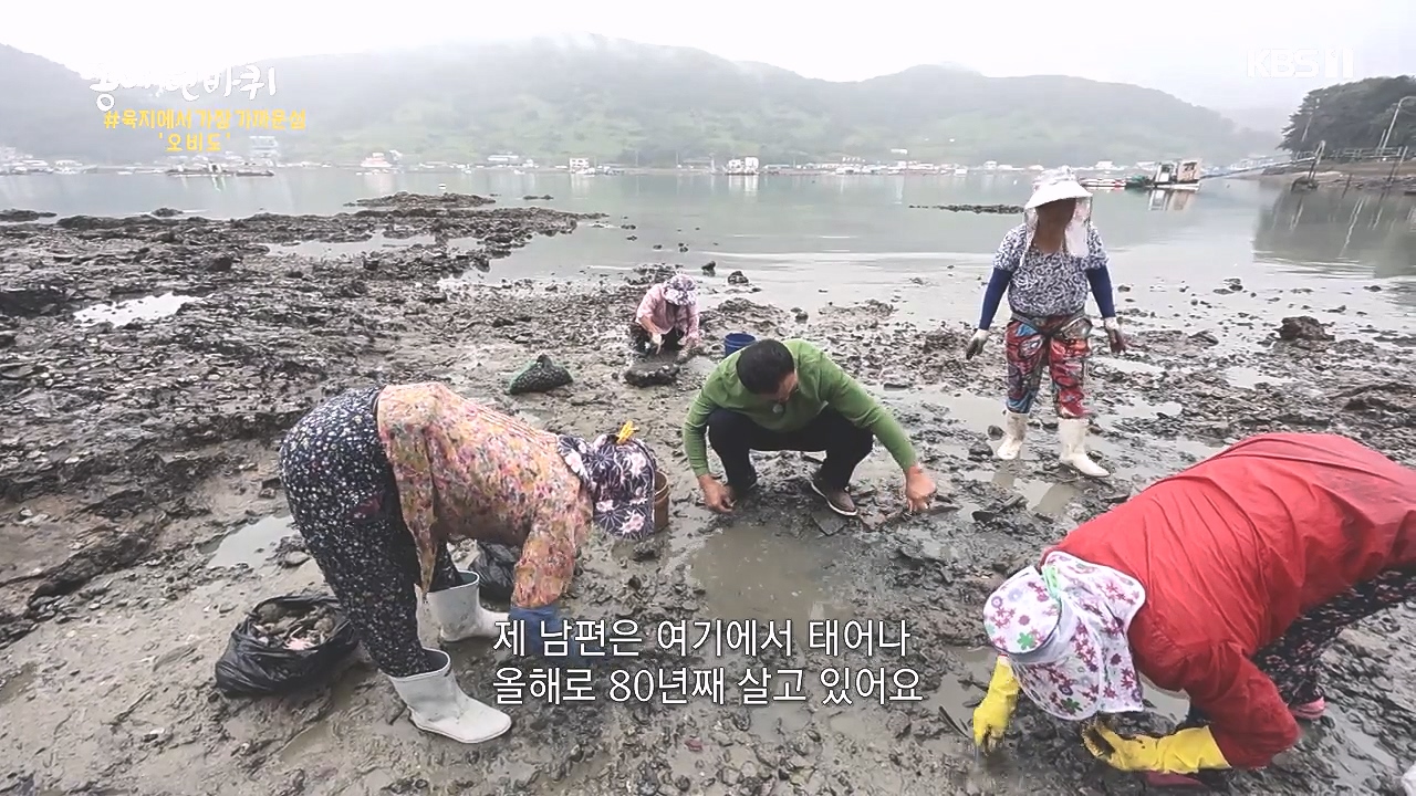 동네 한 바퀴.E243.231015p-NEXT.mp4_20231015_183638.353.jpg