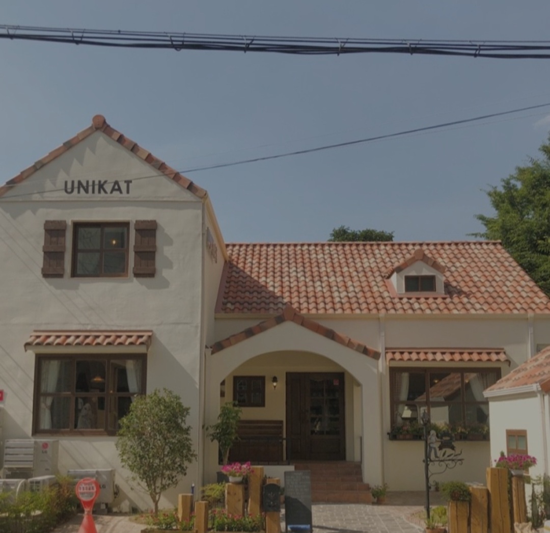 우니카트 이미지