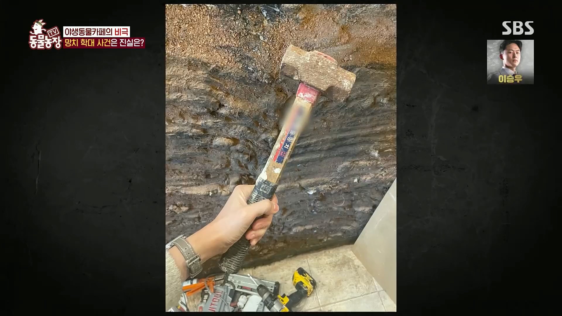 TV 동물농장.E1097.221127p.H264-F1RST.mp4_20221127_181709.187.jpg
