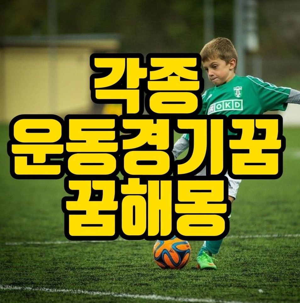  [꿈해몽] 각종 운동경기꿈,수영하는꿈,체조하는꿈,마라톤꿈,우승하는꿈 관련 꿈풀이 25선