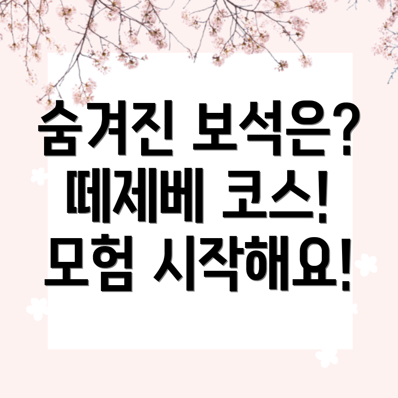 떼제베 코스