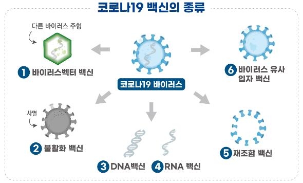  식약처, SK바이오사이언스 코로나 백신 1·2상 승인