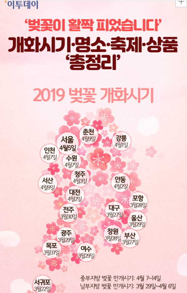 19년 예상 벚꽃 개화 시기 지도. 서울 4월 5일&#44; 강릉 4월 1일&#44; 대구 3월 27일&#44; 제주 3월 22일.