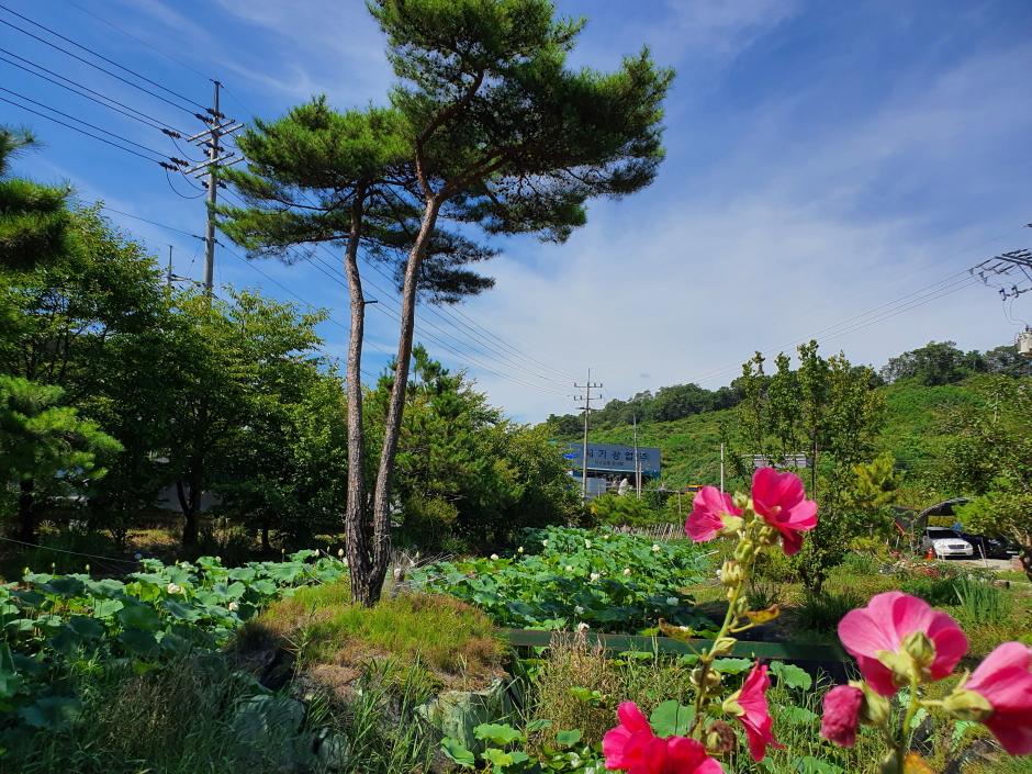 충청남도 천안 여행 - 1 산&amp;#44; 절&amp;#44; 사찰&amp;#44; 역사 여행&amp;#44; 천안 관광 지도&amp;#44; 충남 천안 가볼만한곳&amp;#44; 흑성산성&amp;#44; 광덕산&amp;#44; 승천사 7