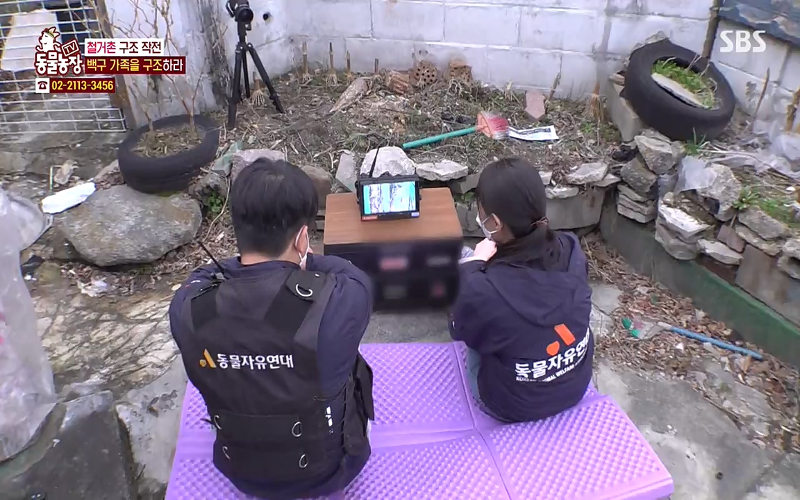 TV 동물농장.E1065.220418p-NEXT.mp4_20220417_181319.170.jpg