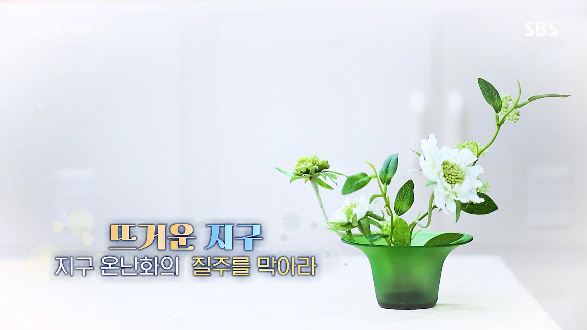 일요 특선 다큐멘터리.E309.230326p.H264-F1RST.mp4_20230326_152053.768.jpg