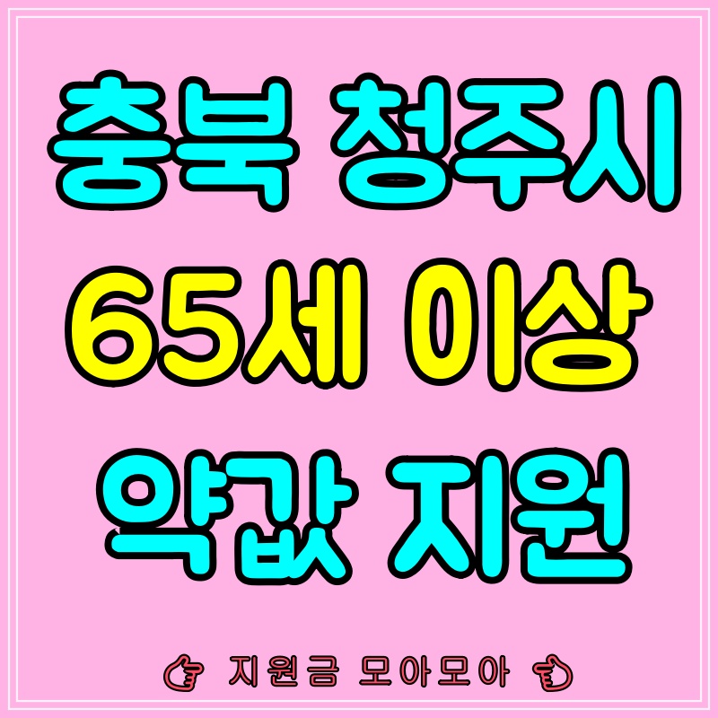 65세이상노인약값