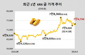 오늘의 금시세 조회