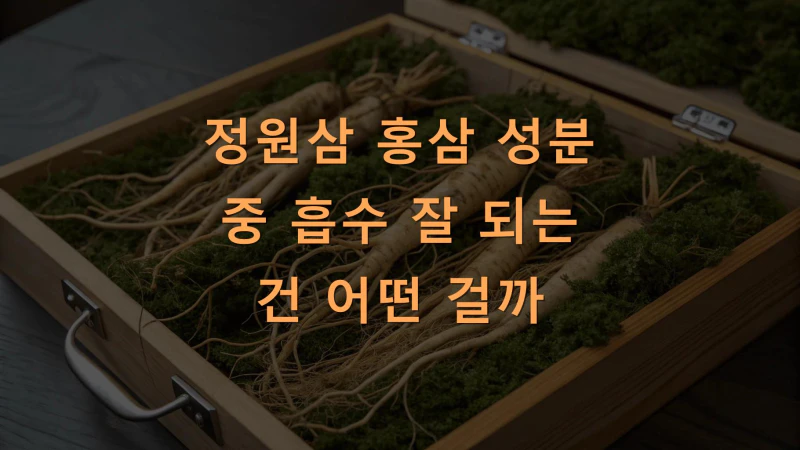 정원삼 홍삼 성분 중 흡수 잘 되는 건 어떤 걸까