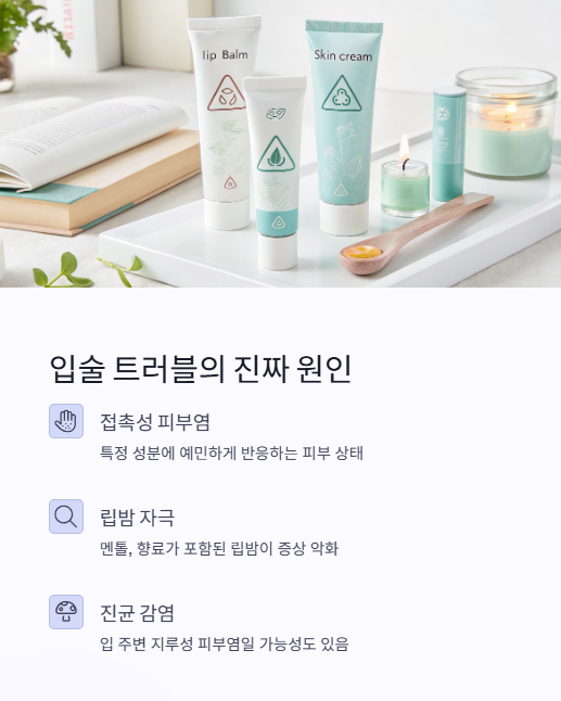 입술 트러블의 진짜 원인