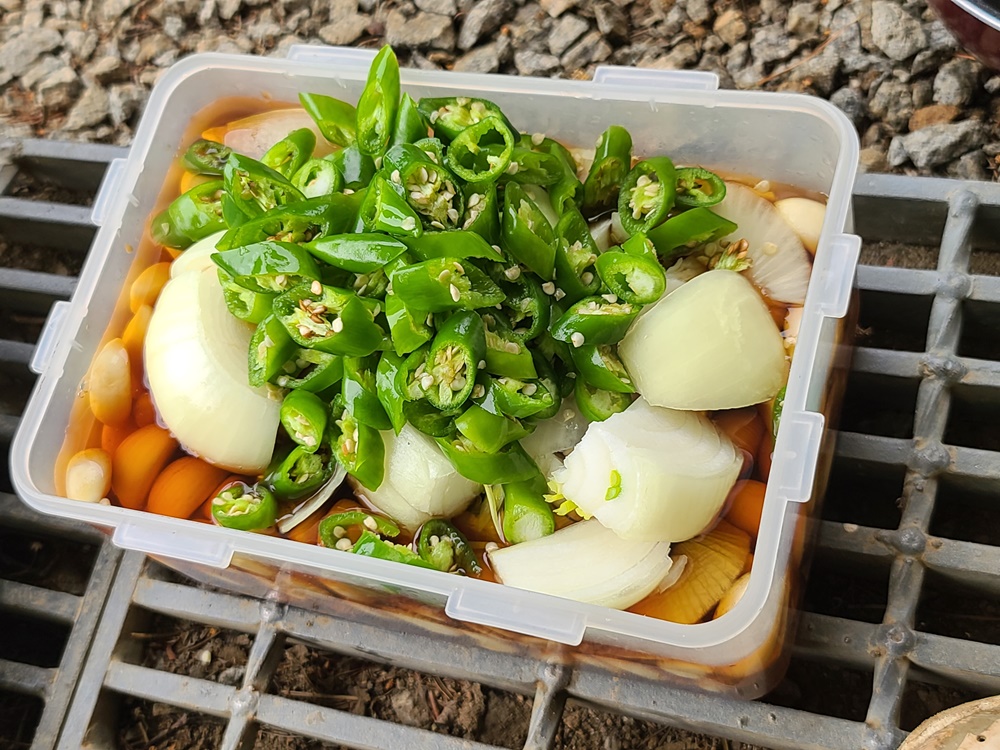 청정원장아찌간장-마늘양파장아찌-취나물장아찌