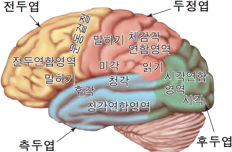 크릴오일 효능에 대한 고찰과 크릴새우에 대한 이야기