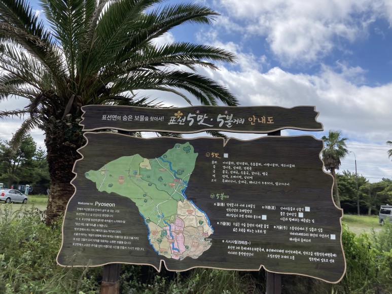 당일코스 임산부 렌터카 반입 [3박 4일 제주여행 삼일-1] 우도 2