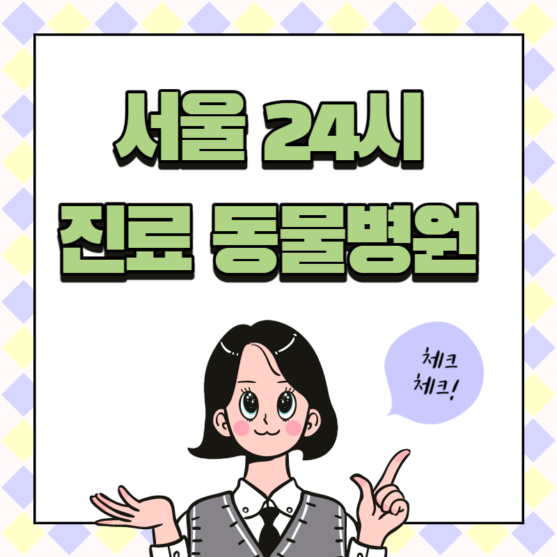  서울 24시 동물병원 진료하는곳 위치