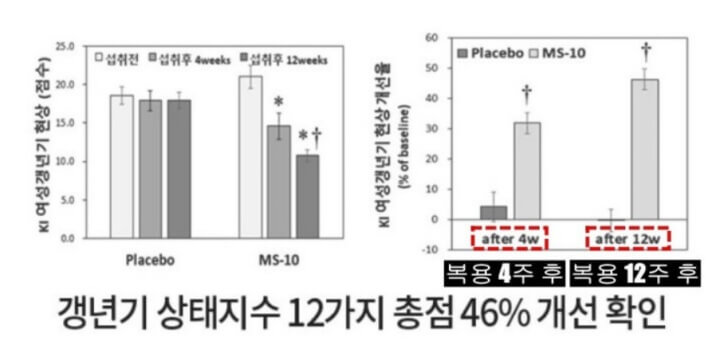 갱년기 상태 지수 12가지 총점 46% 개선 확인_설명사진