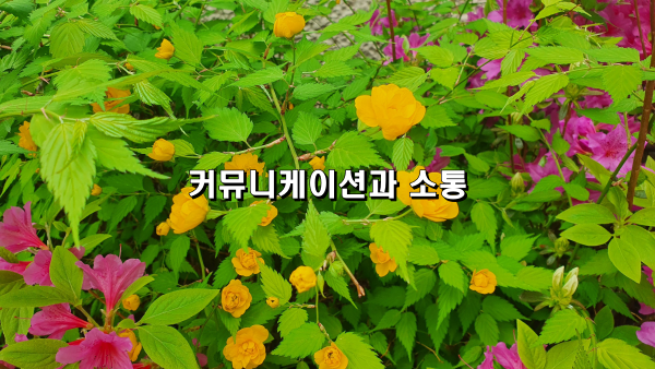 커뮤니케이션과 소통