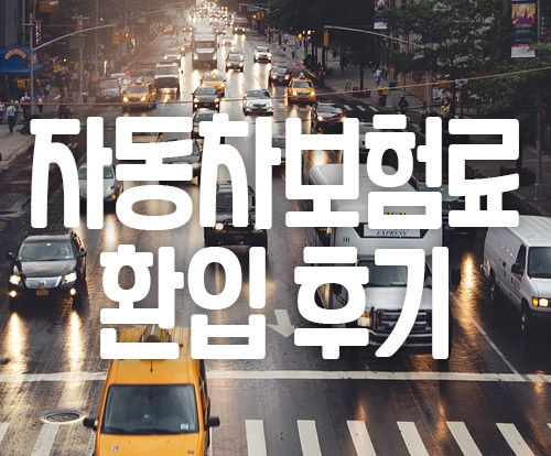  자동차보험료 환입 방법 및 후기