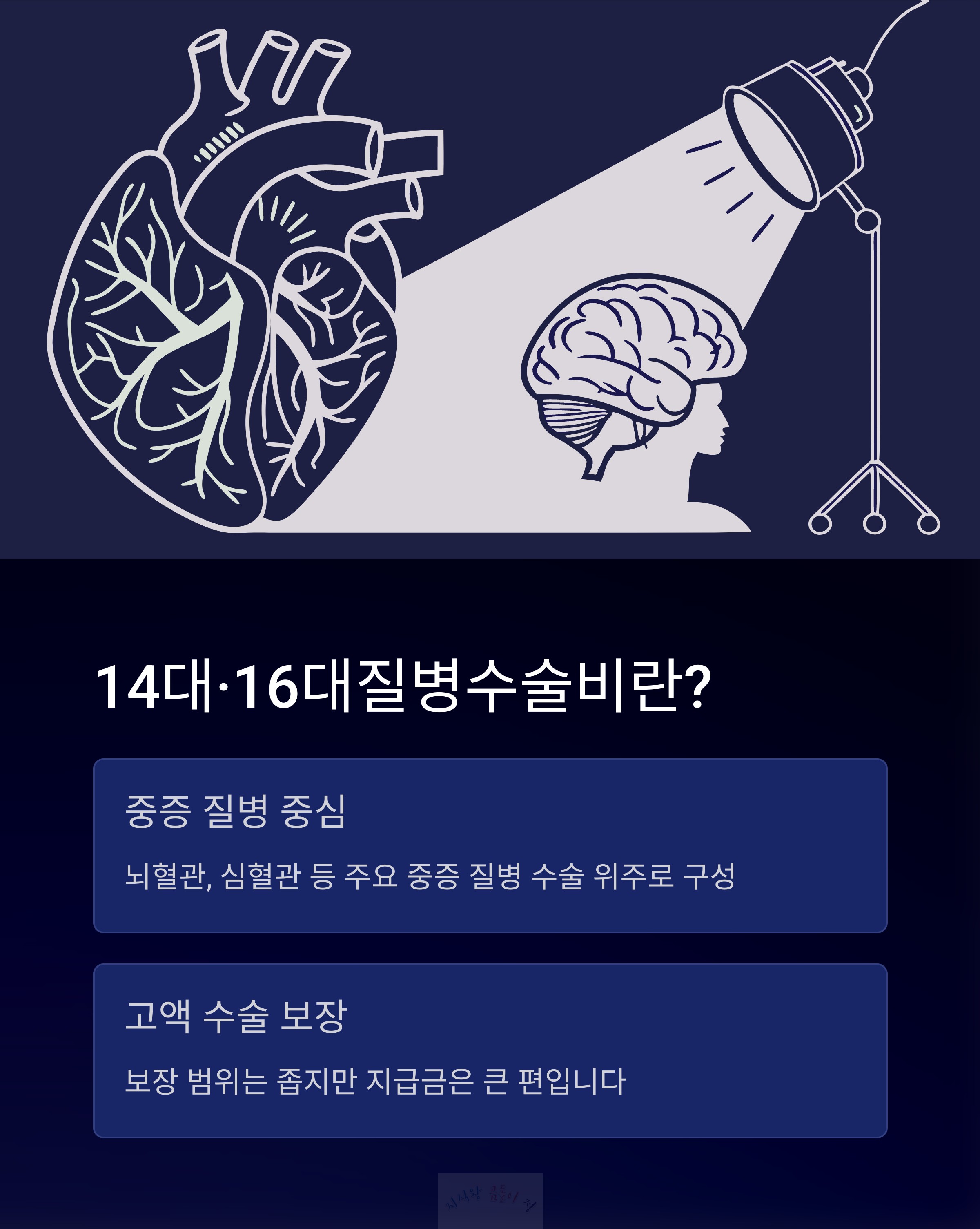 14대&amp;#44;16대 질병 수술비란?