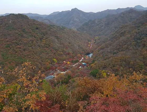 내장산