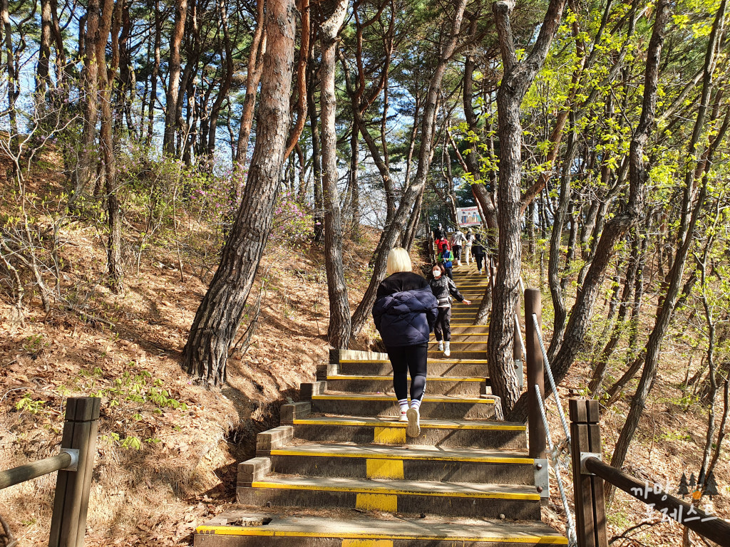광교산 계단