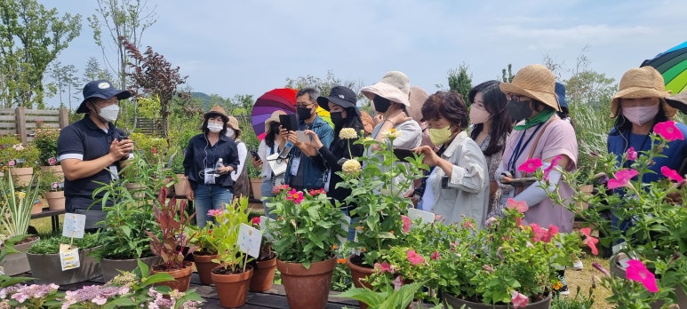  정원 가꿀 때 우리 자생식물을 활용 해보세요