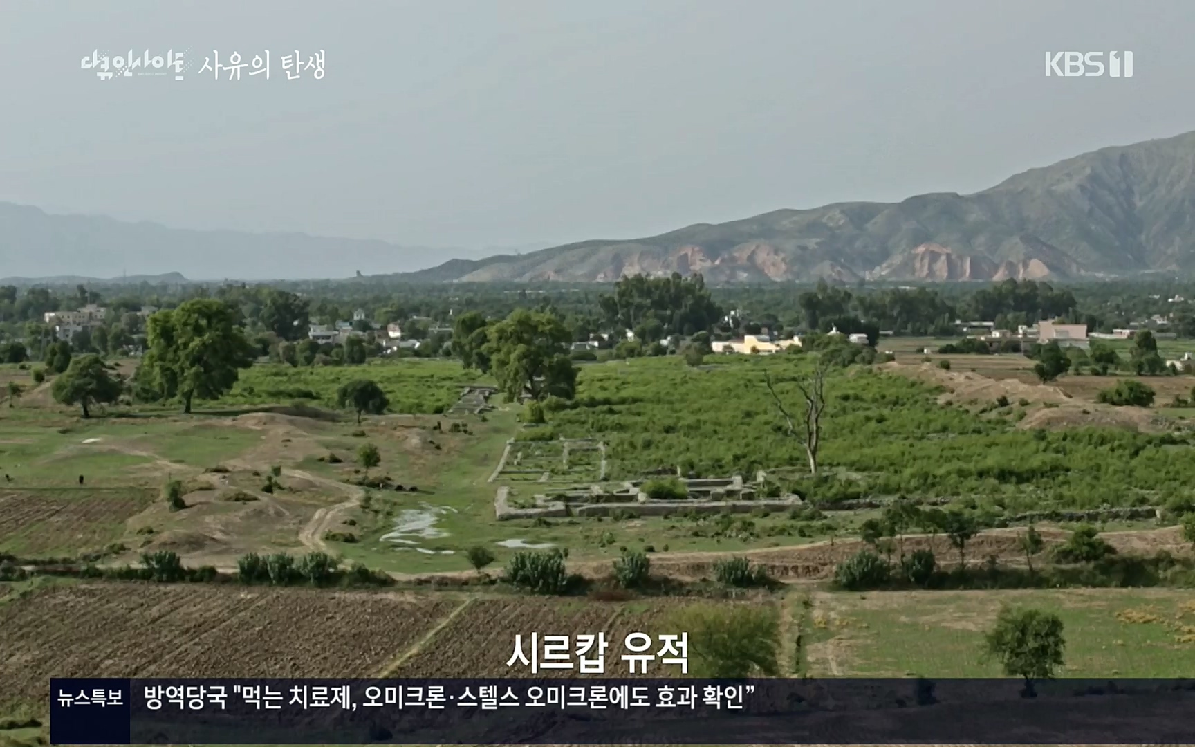 다큐 인사이트.E113.220519p.H264-F1RST.mp4_20220523_205650.808.jpg