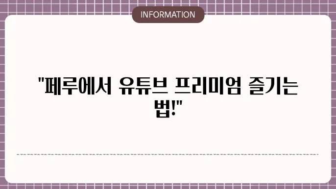 유튜브 프리미엄 우회 페루 대책 c29법