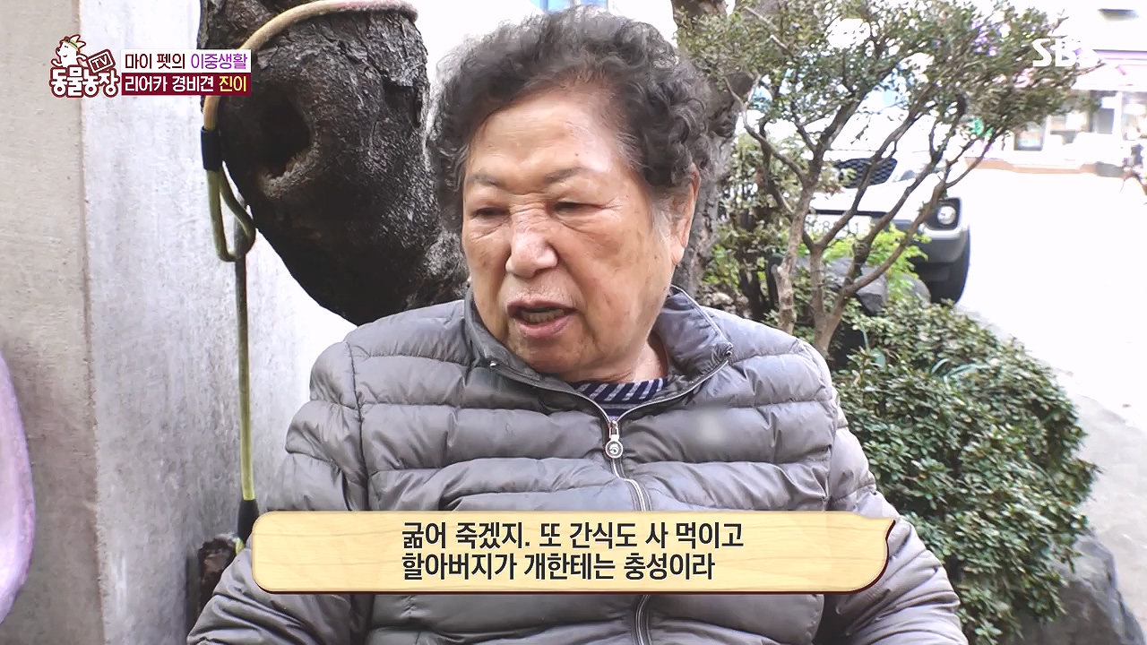 TV 동물농장.E1153.240108p-NEXT.mp4_20240107_173841.433.jpg
