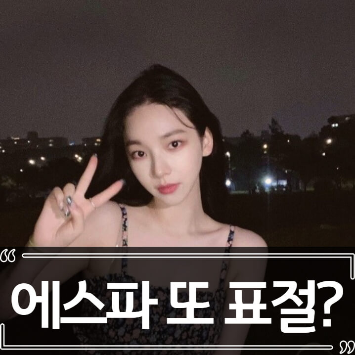  에스파 표절 논란 총정리