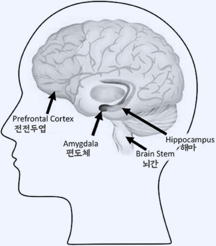 이성과감성 이미지