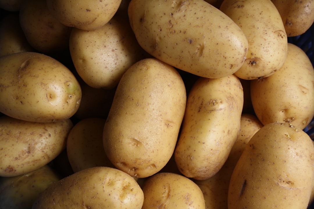 Sweet potato.