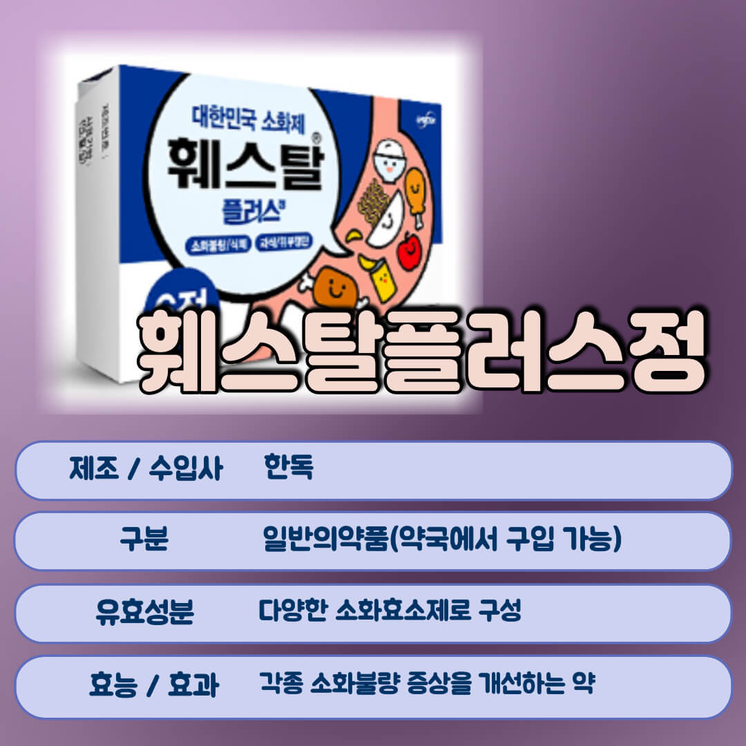 훼스탈플러스정이란