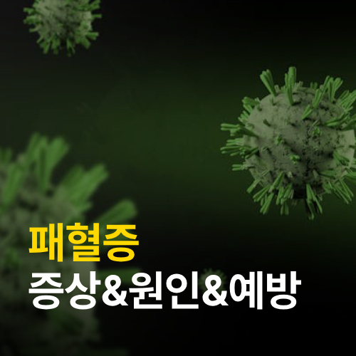 패혈증 원인, 증상, 예방법 관련 이미지