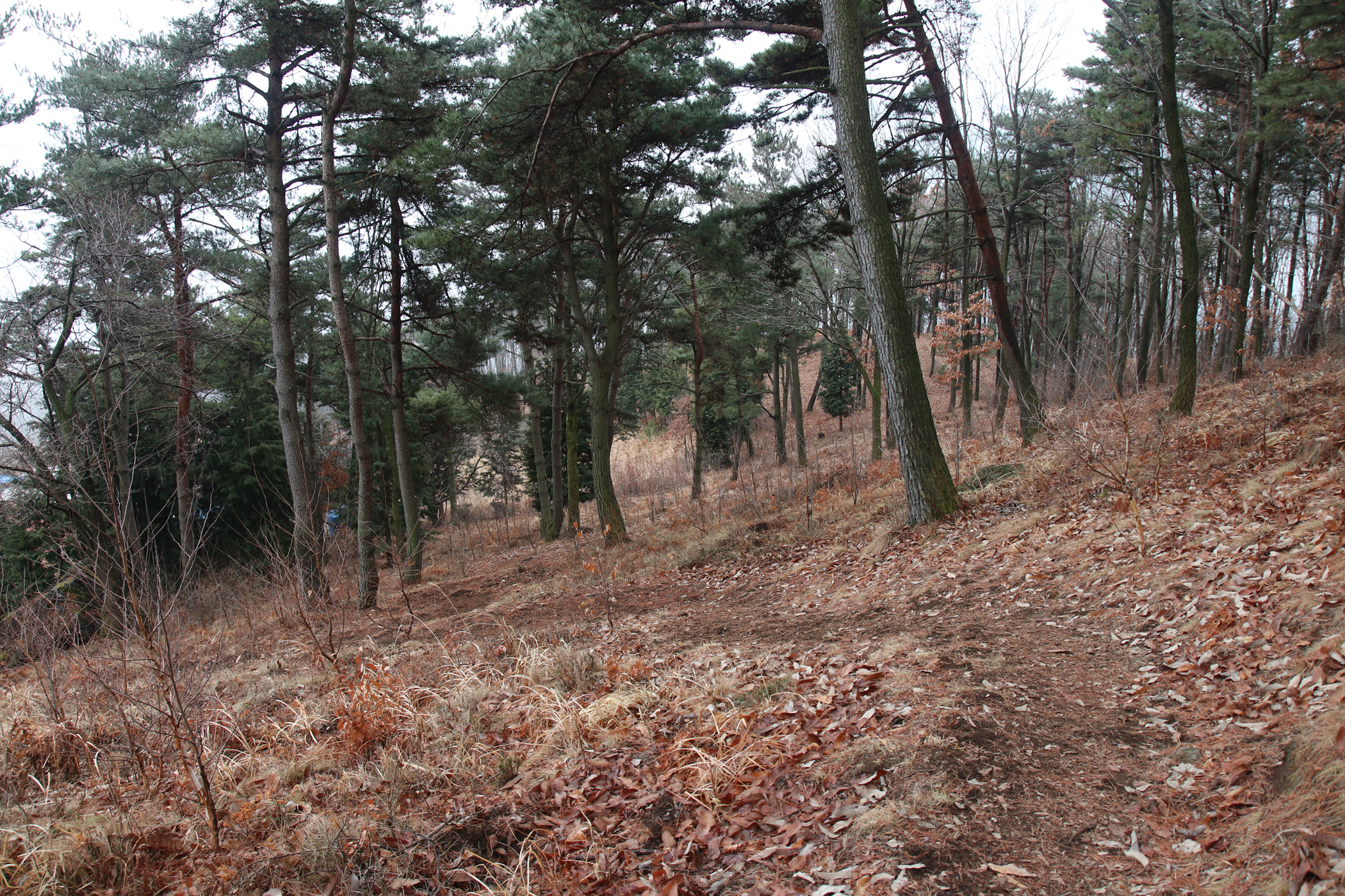 경남 의령군 국사봉 05 16