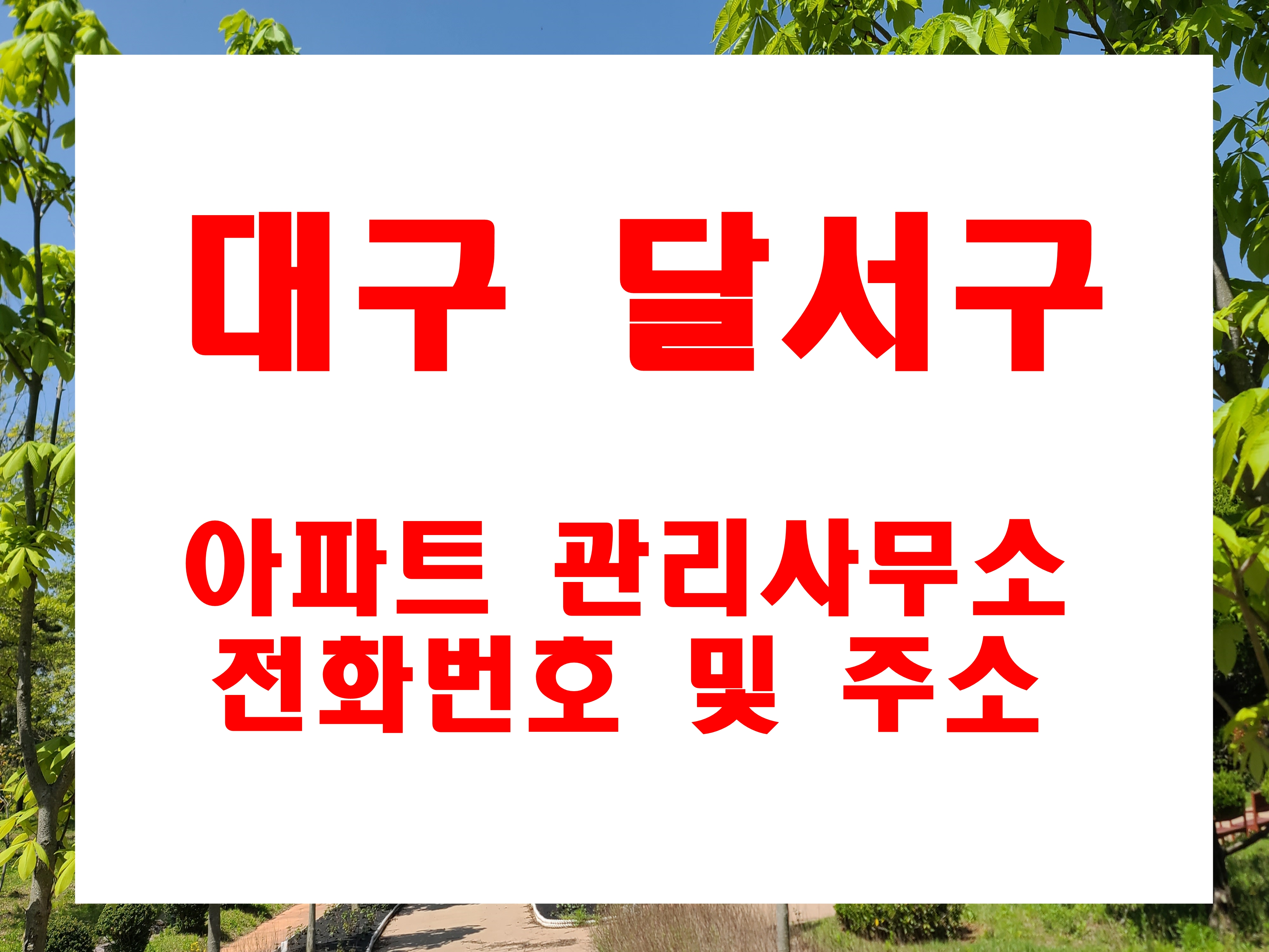  대구 광역시 달서구 아파트 관리사무소 전화번호 두류동 감삼동 본리동 용산동 죽전동 상인동 월성동 관리실 주소 및 연락처