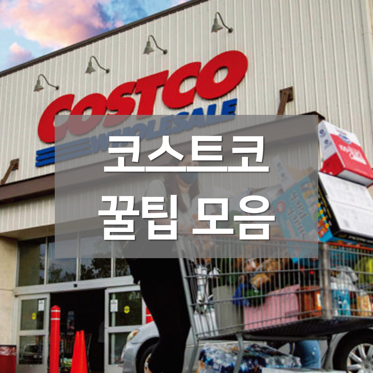  [코스트코] 꿀팁 총정리(가격표 비밀, 커클랜드, 회원권 없이 이용 등)
