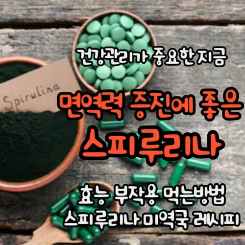  면역력 높이고 항암효과를 돕는 스피루리나 효능 부작용 주의사항 (스피루리나 추출물 가루 알약 암 세포 잡는 스피루리나 미역국 만드는 방법)/ spirulina