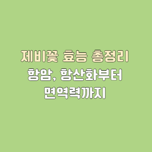 제비꽃 효능