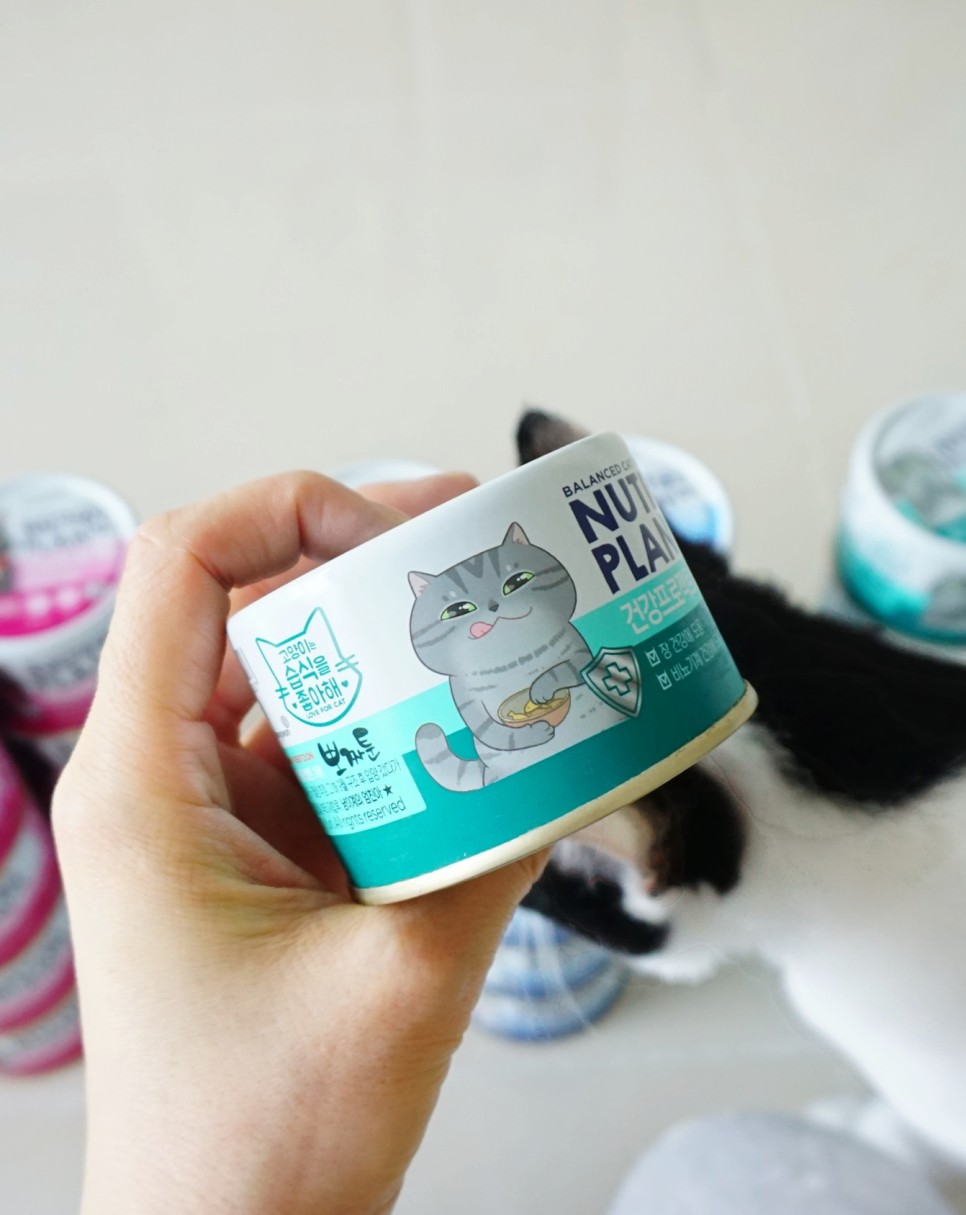 구냥이 고양이캔으로 네 건강관리해요 21