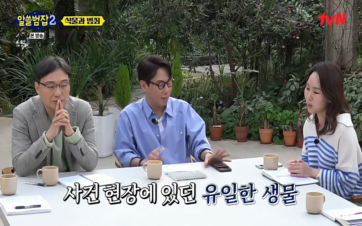 알쓸범잡 2.E15.220425p-NEXT.mp4_20220425_174827.632.jpg
